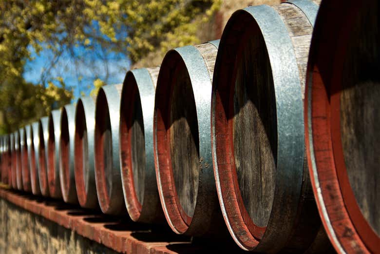 Visita alla cantina Sumarroca
