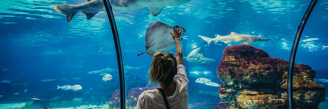 Aquarium di Barcellona